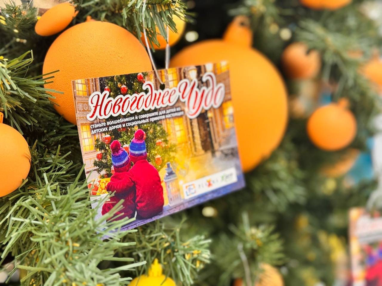 В Мурманской области стартовала традиционная акция Единого волонтёрского центра по сбору подарков для детей из социальных учреждений «Новогоднее чудо» 