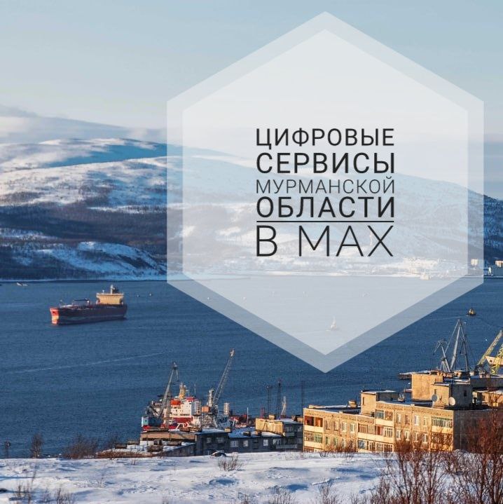 Андрей Чибис рассказал об уникальных сервисах Мурманской области в МАХ