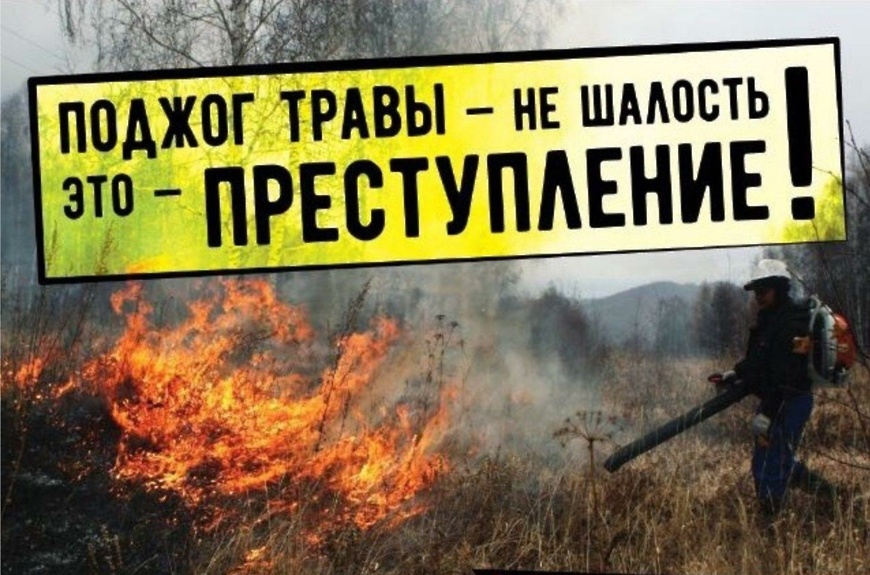 За поджог травы и нарушение правил пожарной безопасности предусмотрена серьезная ответственность вплоть до уголовной